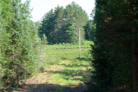 Photo of 0 Brandt Rd, Hayward, WI 54843 (MLS # 1964778)