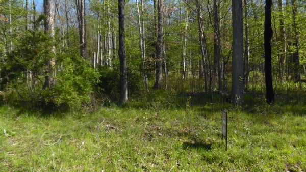 15 CARRIBEAN RD, DUBOIS, PA 15801 - Image 42363a9d0e55f7ea2c6b4c08d13d77f0/2572004603