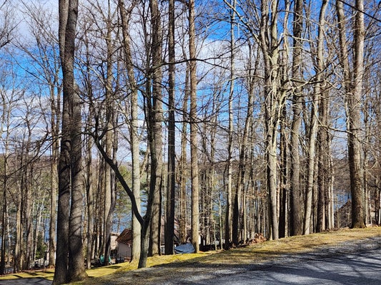 5 ADMIRAL DUNBAR RD, DUBOIS, PA 15801 - Image 697c793dfd817f48b96fc33f60e5d9ea/3627324202