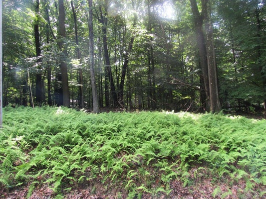 5 ADMIRAL DUNBAR RD, DUBOIS, PA 15801 - Image 7c8779c8f0489ff65548d92ea448523f/3224148201