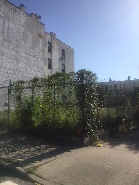 Brooklyn, New York 11220, United States, ,Land,Active,53017