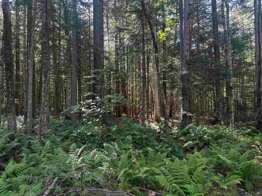 Photo of 17 Oak Lane, Grantham, NH 03753 (MLS # 5109550)