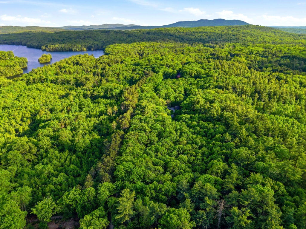 Photo of 91 Wolf Hill Road, Deering, NH 03242 (MLS # 5092455)