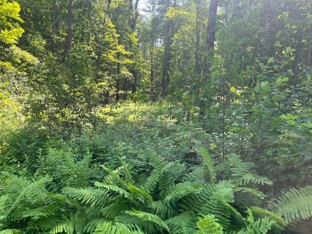 Photo of 33 Bean Road, Plainfield, NH 03781 (MLS # 5097933)