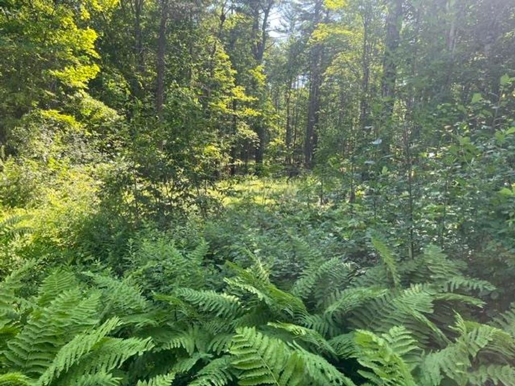 Photo of 33 Bean Road, Plainfield, NH 03781 (MLS # 5097933)