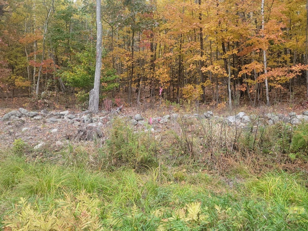 Photo of 3021 North Road, Barnstead, NH 03225 (MLS # 5095880)