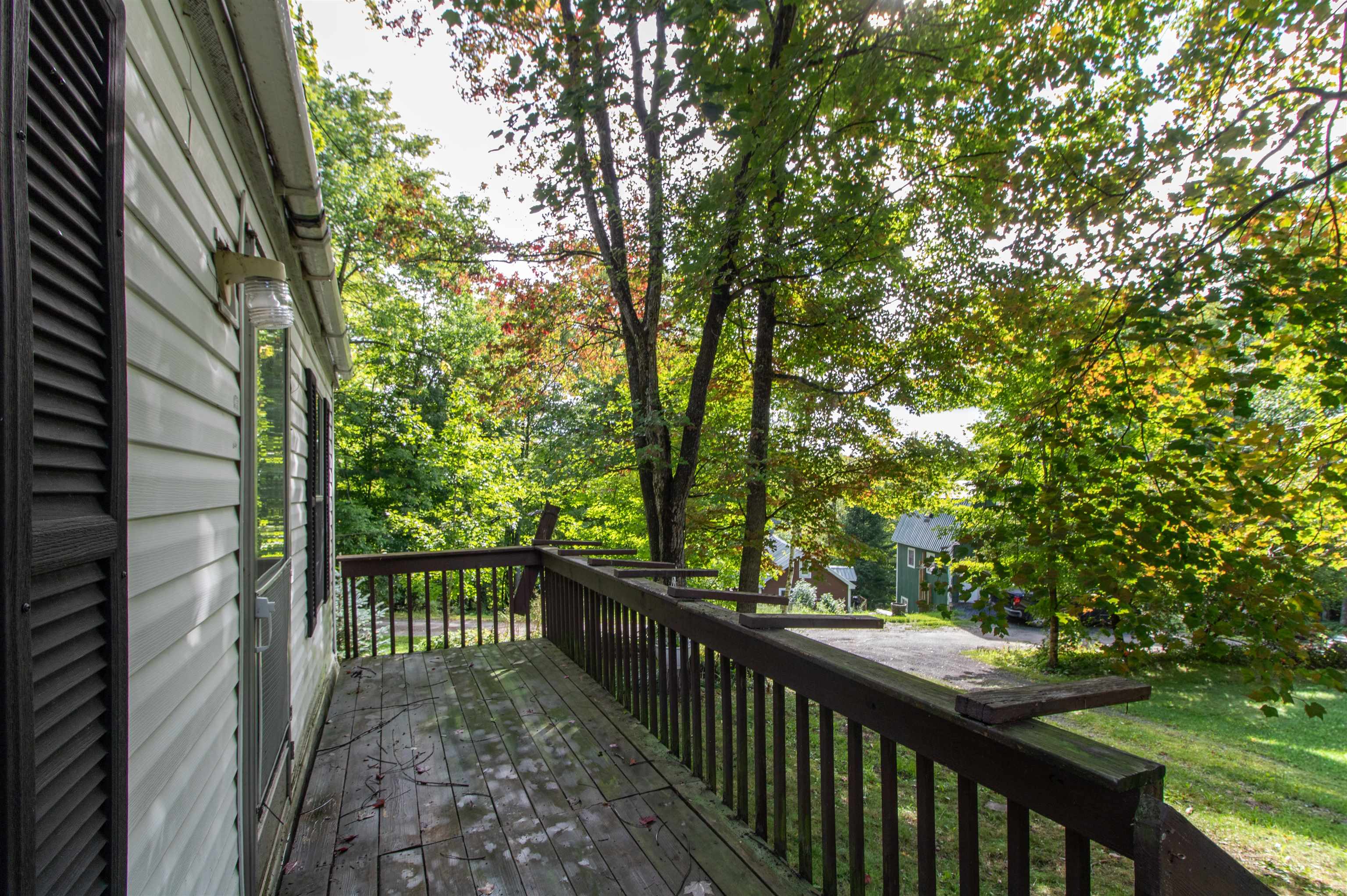62 Maple Tree Lane
