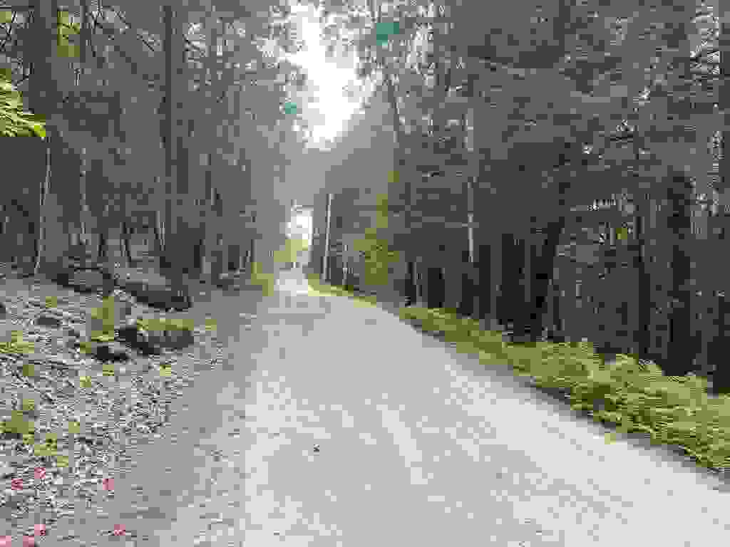 Photo of 11 True Road #R23-Lot 11, Pittsfield, NH 03263 (MLS # 5099813)