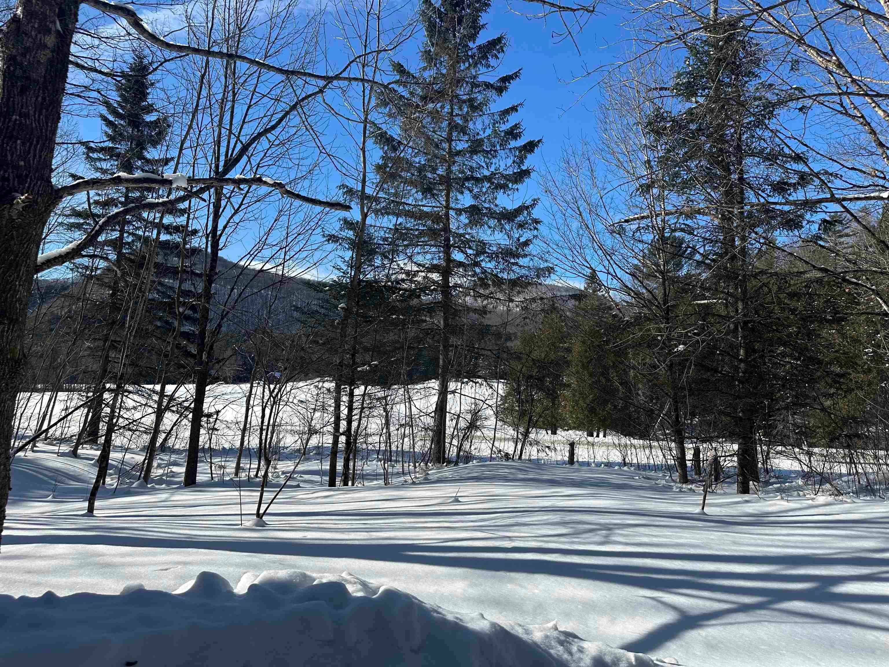 9 Dry Pond Road
