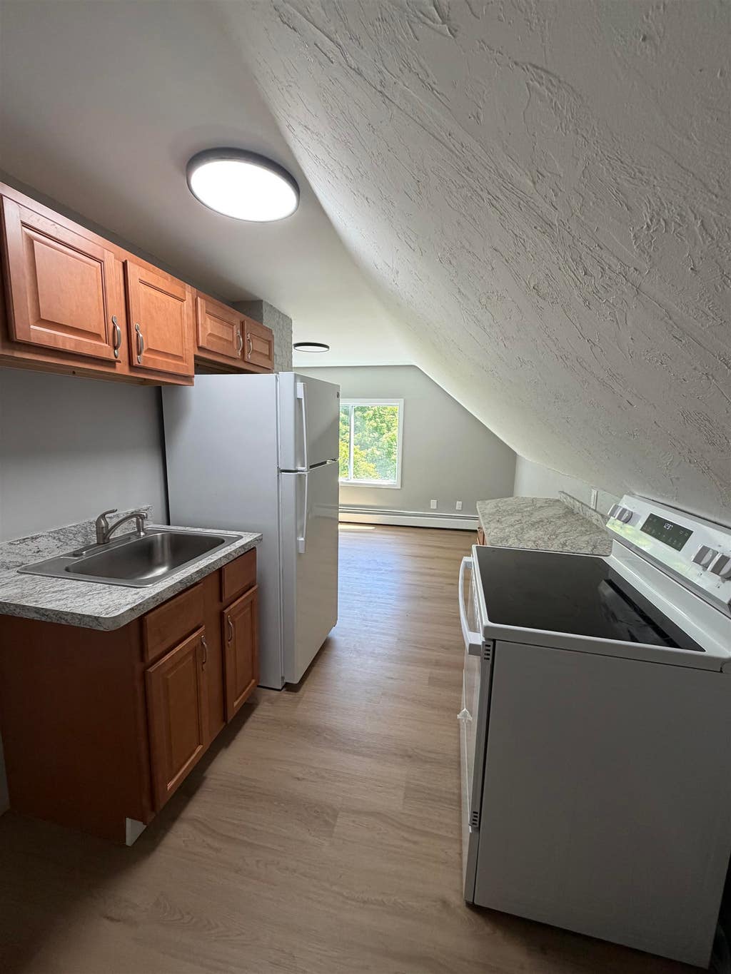 Photo of 60 Summer Street #5, Bristol, NH 03222 (MLS # 5102037)