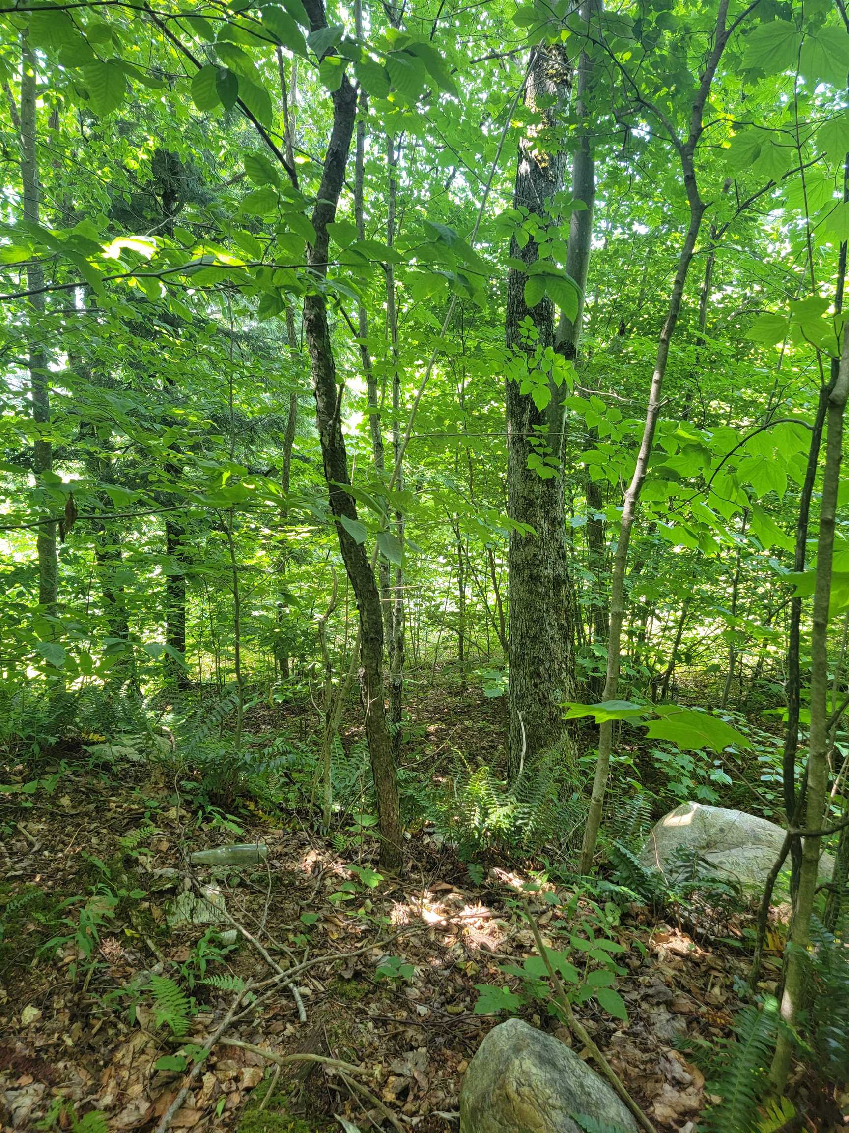 0 Old Gale Hill Road