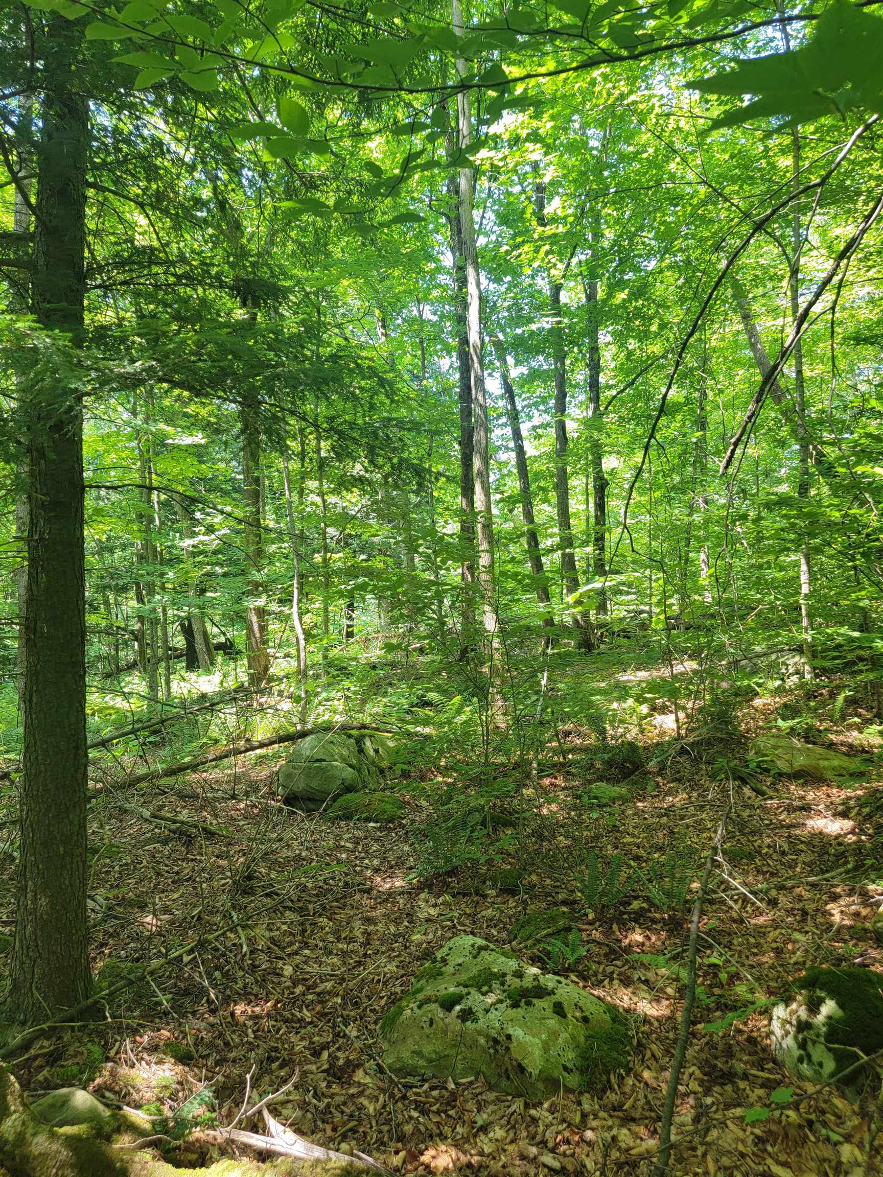 0 Old Gale Hill Road