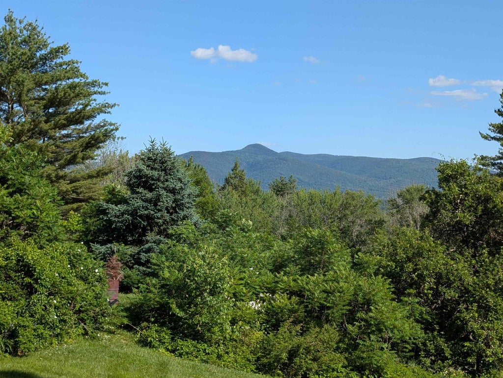 Photo of 163 Maple Ridge Road, Sandwich, NH 03259 (MLS # 5094540)