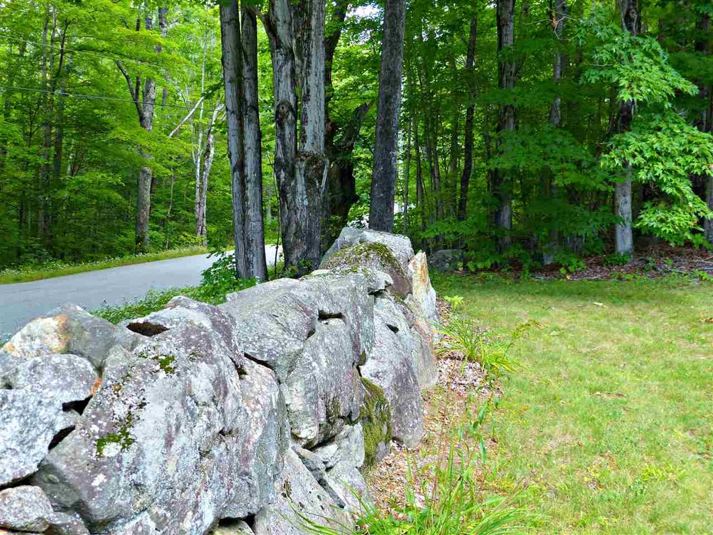 Photo of 163 Maple Ridge Road, Sandwich, NH 03259 (MLS # 5094540)