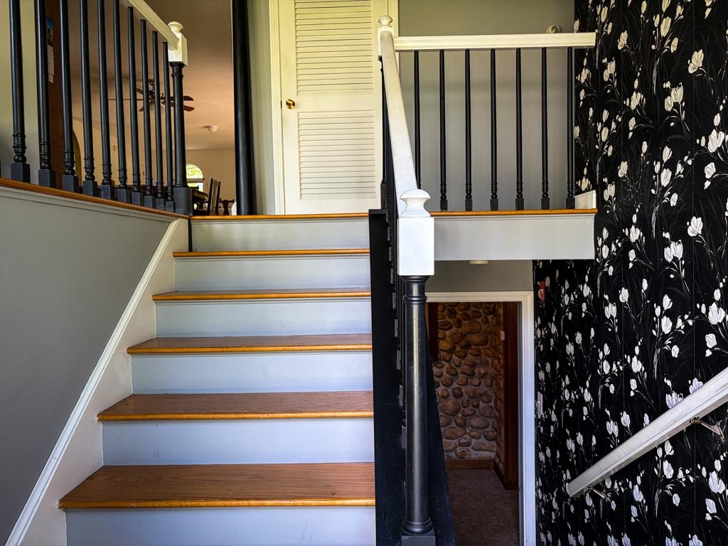 1 Pine Tree Lane