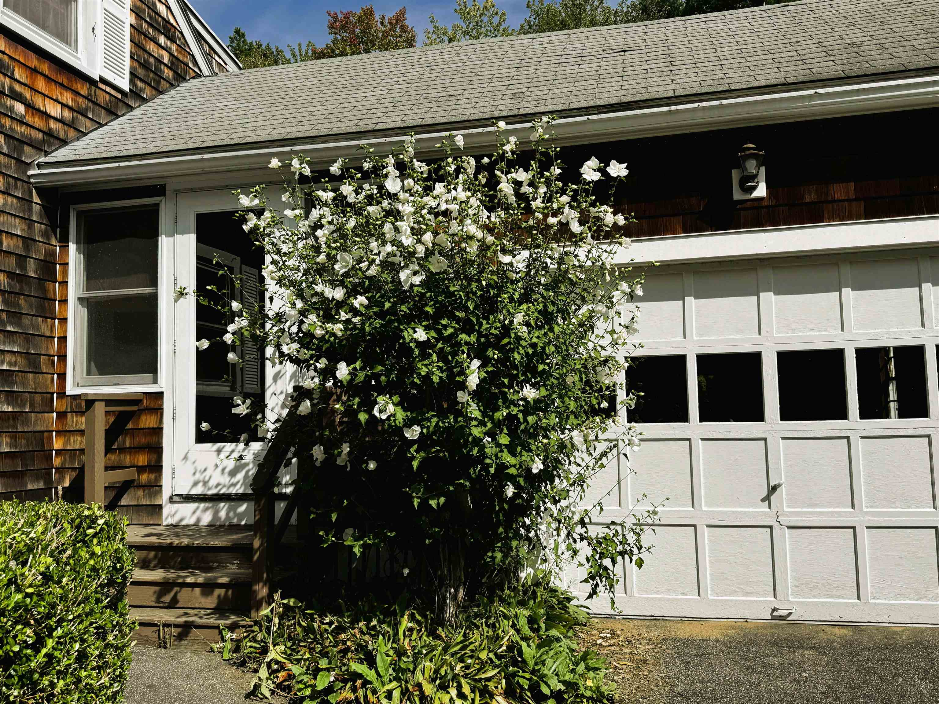 10 Whittier Street