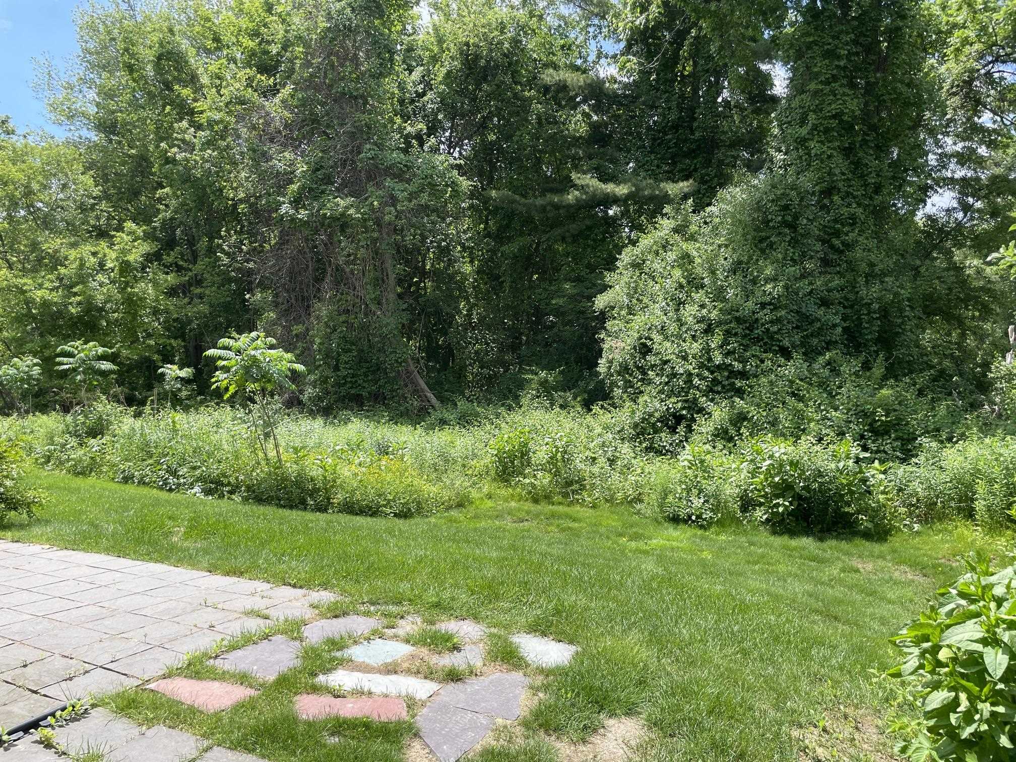 1275 Maplewood Avenue 10