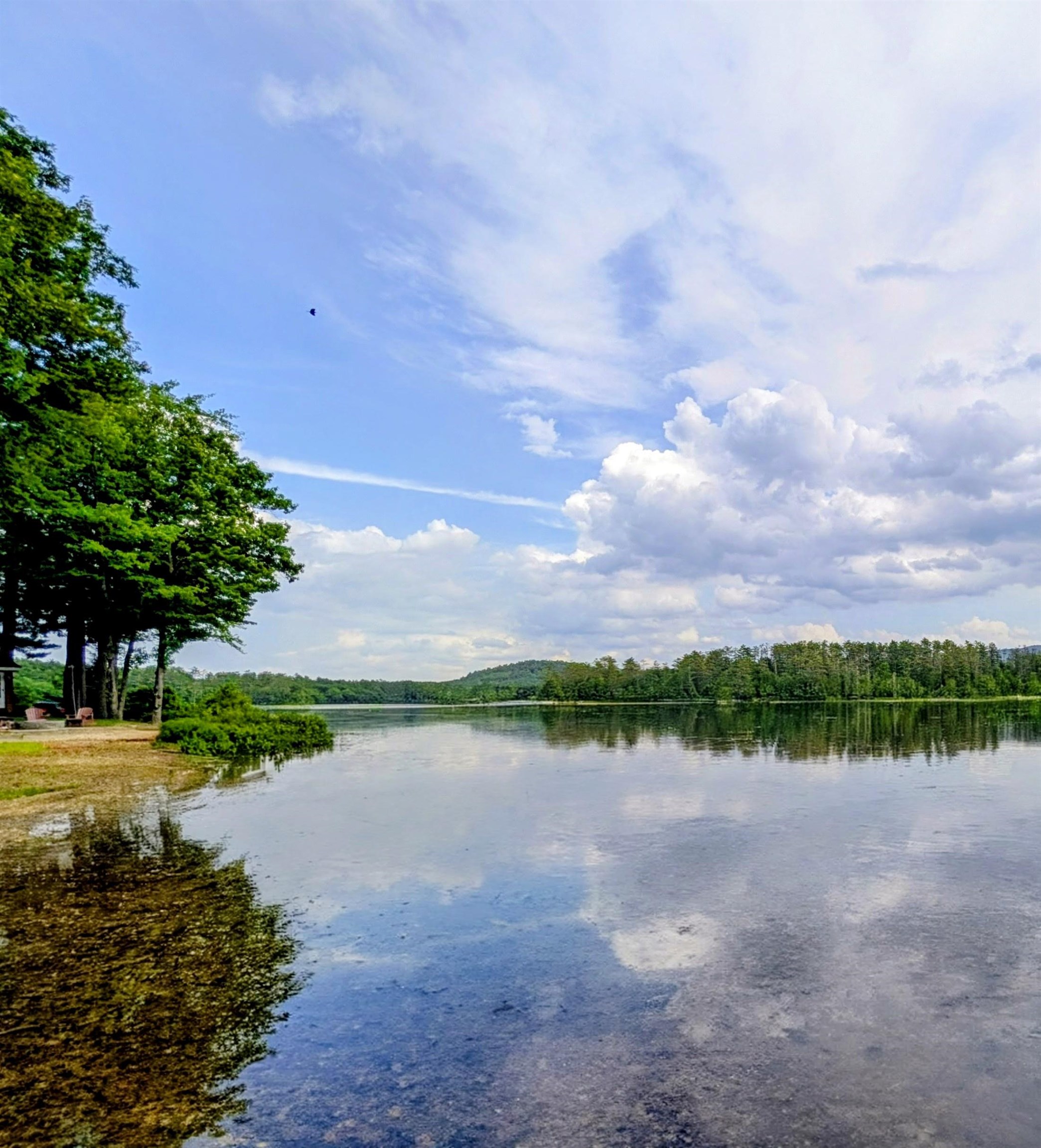 Lot 36 Beaver Dam Road - Photo 4