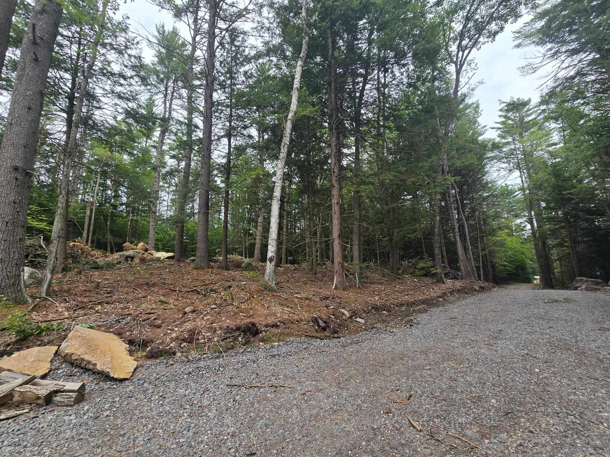 Lot 36 Beaver Dam Road