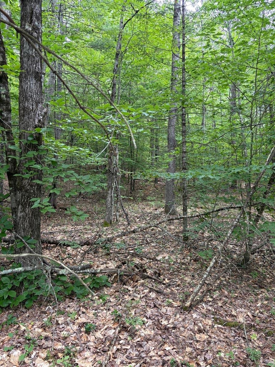 Photo of 00 Milford Avenue, Freedom, NH 03836 (MLS # 5112751)