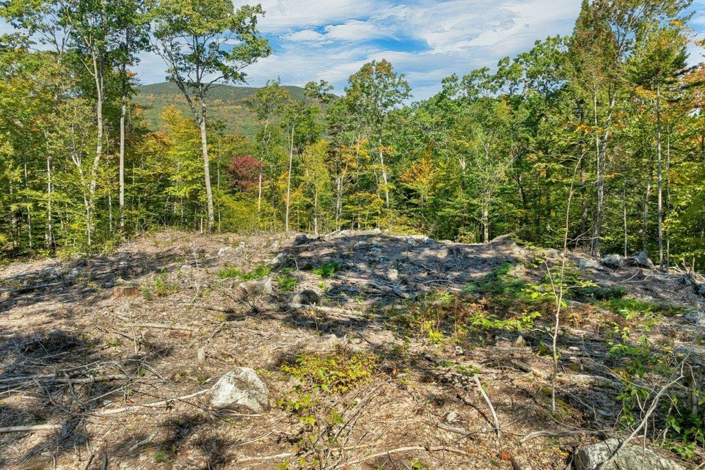 Photo of 22 Mt Israel Road #22, Sandwich, NH 03227 (MLS # 5112787)