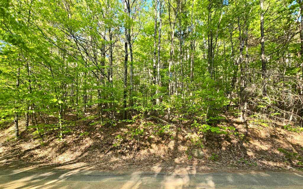 Photo of 00 Isaac Fox Drive, Campton, NH 03223 (MLS # 5097008)