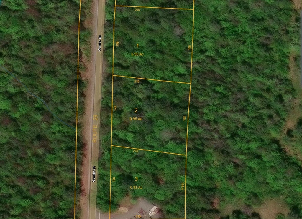 Photo of 432 Center Street, Wolfeboro, NH 03894 (MLS # 5115086)