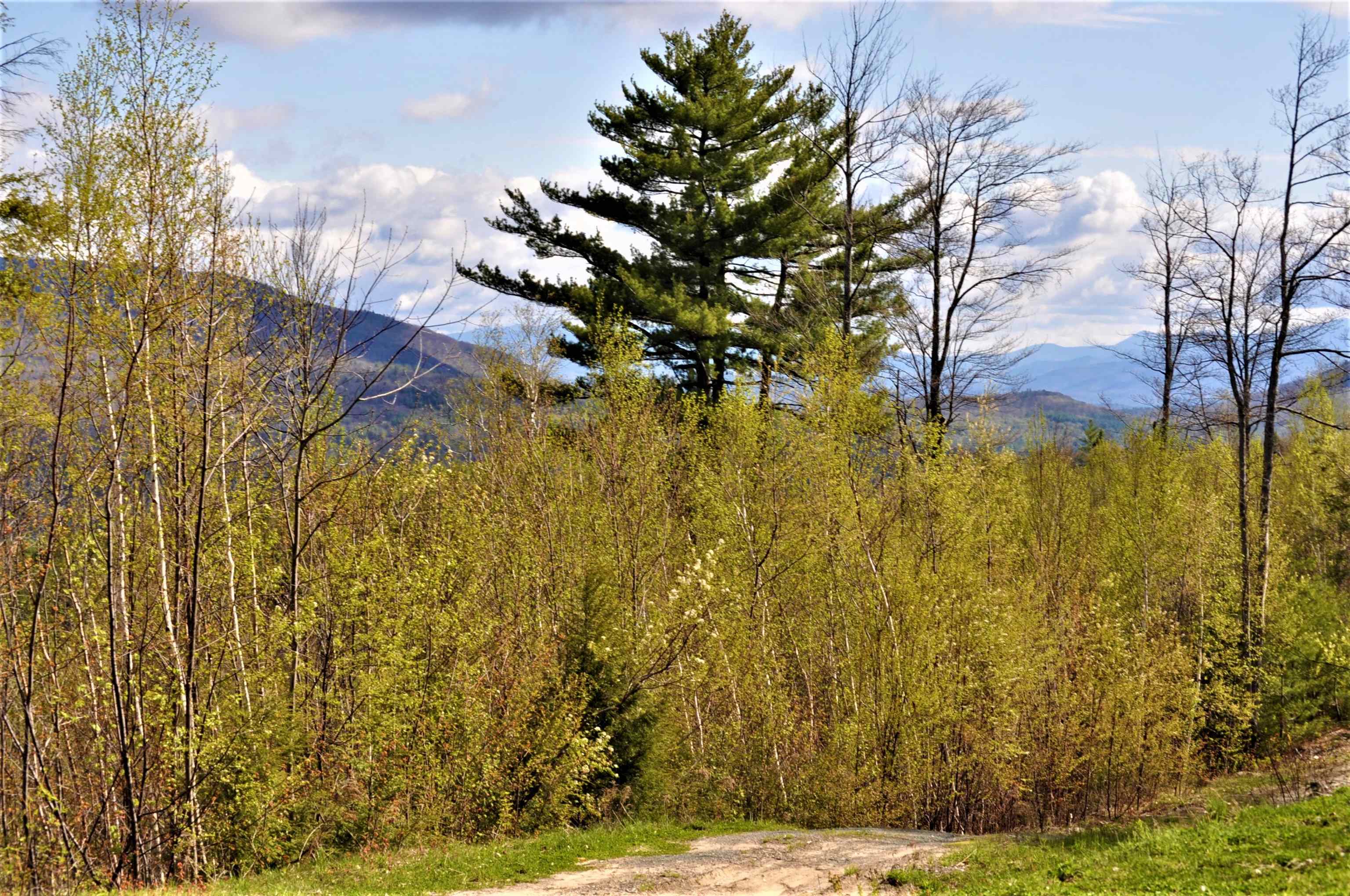 High Cliffs Circle and Skyline Drive 11,17,18,20,21,23