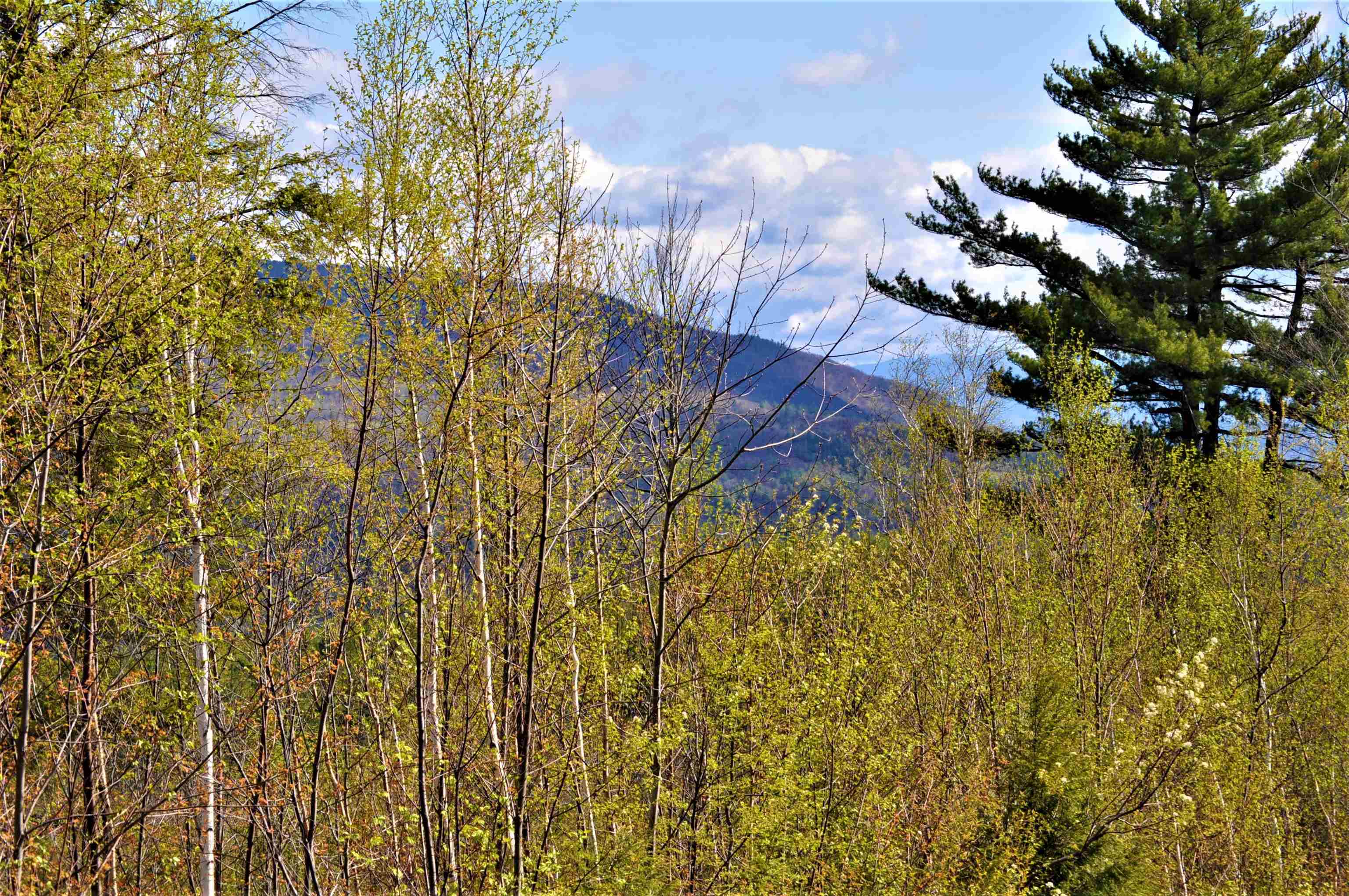 High Cliffs Circle and Skyline Drive 11,17,18,20,21,23