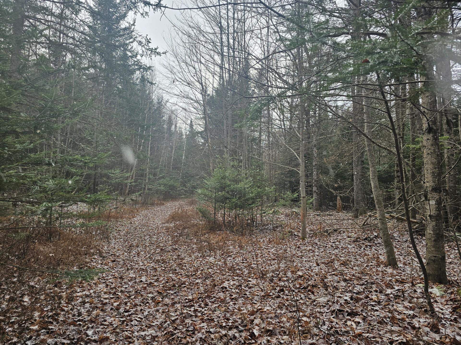 461 Hill Road Map R14, Lot 4 ( land only)