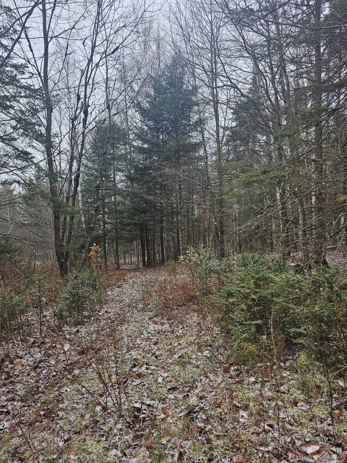 461 Hill Road Map R14, Lot 4 ( land only)