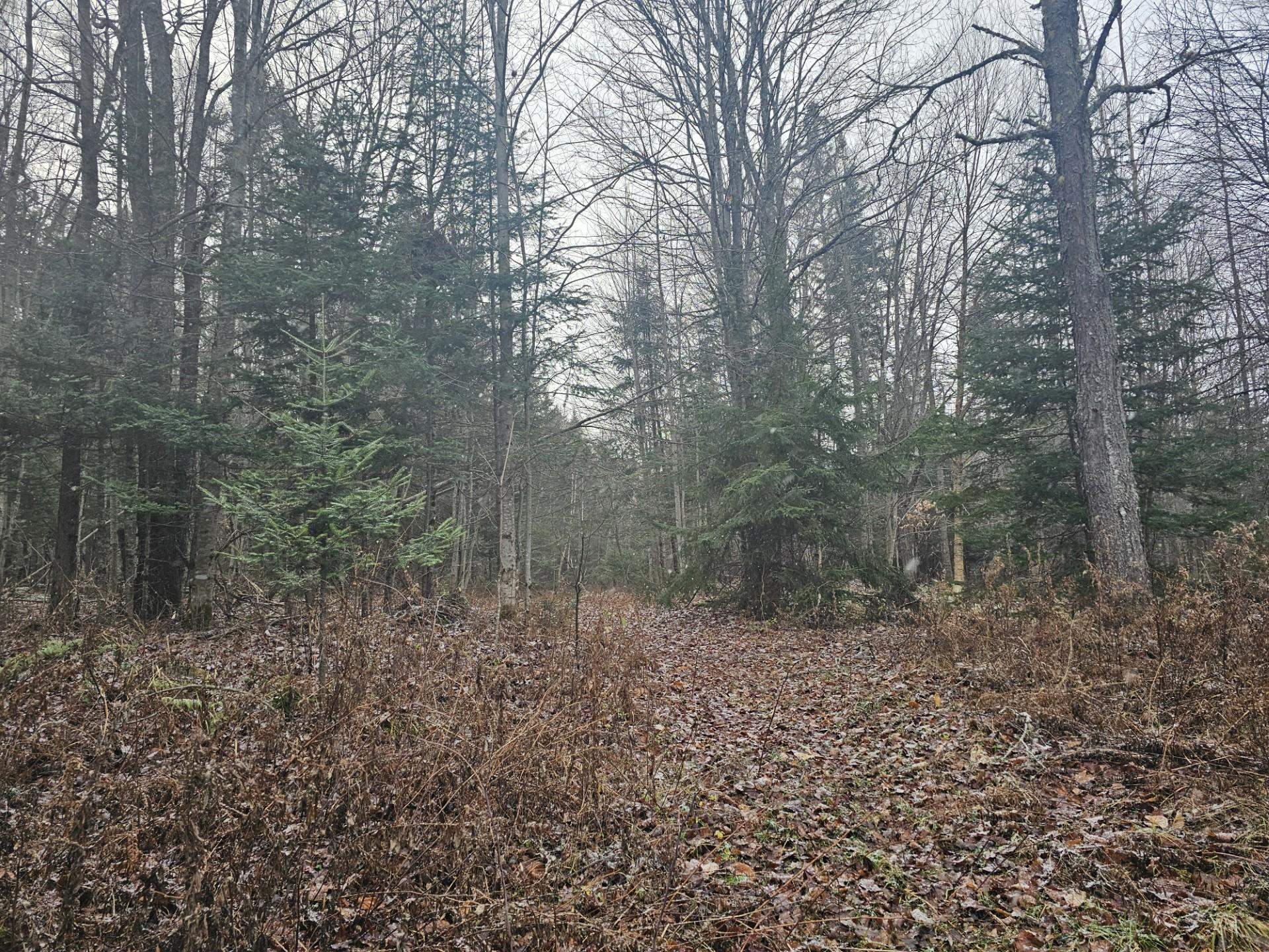 461 Hill Road Map R14, Lot 4 ( land only)