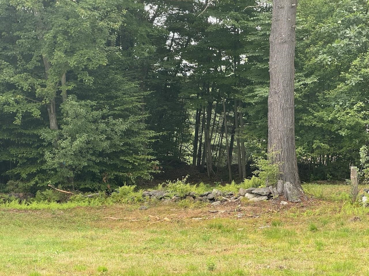 Stow Drive 012-A001-021 2.33 Acres