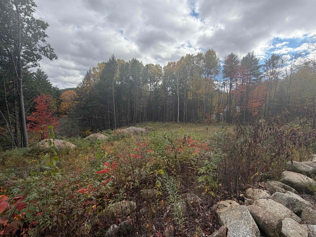 Photo of Old Swanzey Road, Winchester, NH 03470 (MLS # 5114283)
