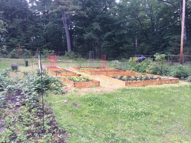 Photo of 38 Tips Cove Road, Wolfeboro, NH 03894 (MLS # 5111198)