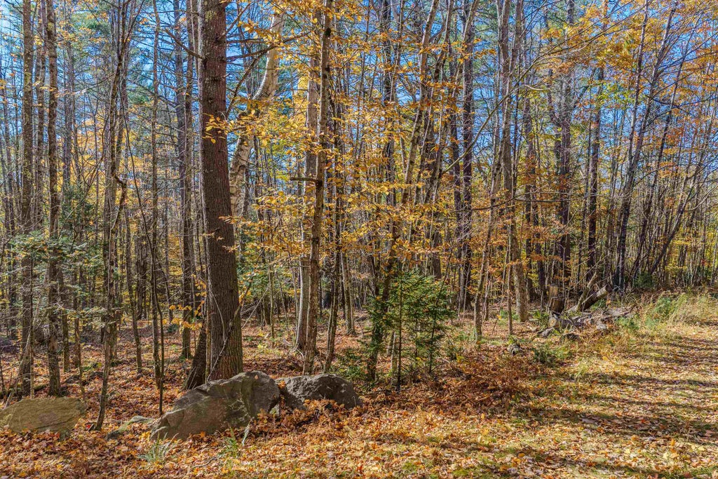 Photo of Blue Trail, Bath, NH 03740 (MLS # 5115175)
