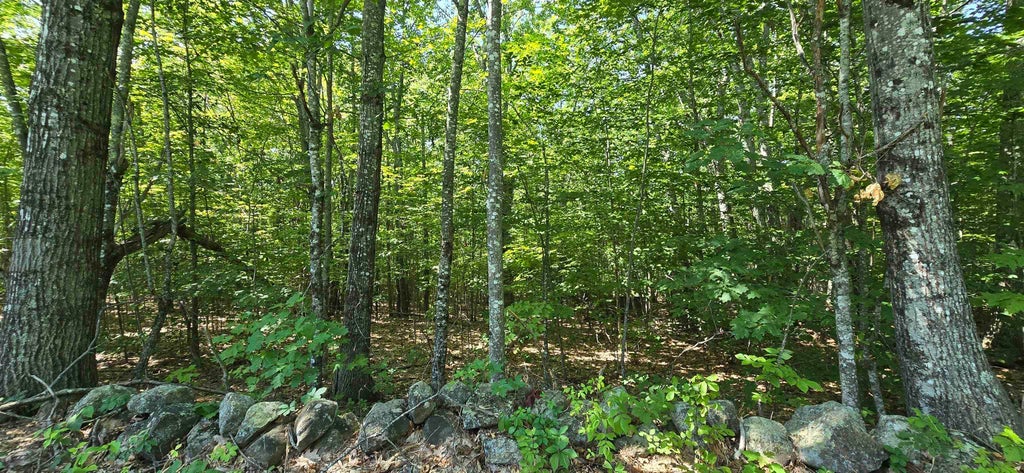 Photo of 40617 Guinea Ridge Road, Gilmanton, NH 03237 (MLS # 5103159)