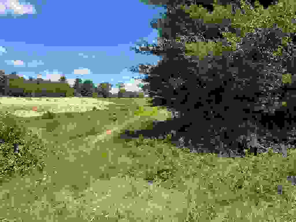 Photo of 69 Plumb Pak Drive, Winchester, NH 03470 (MLS # 5083256)