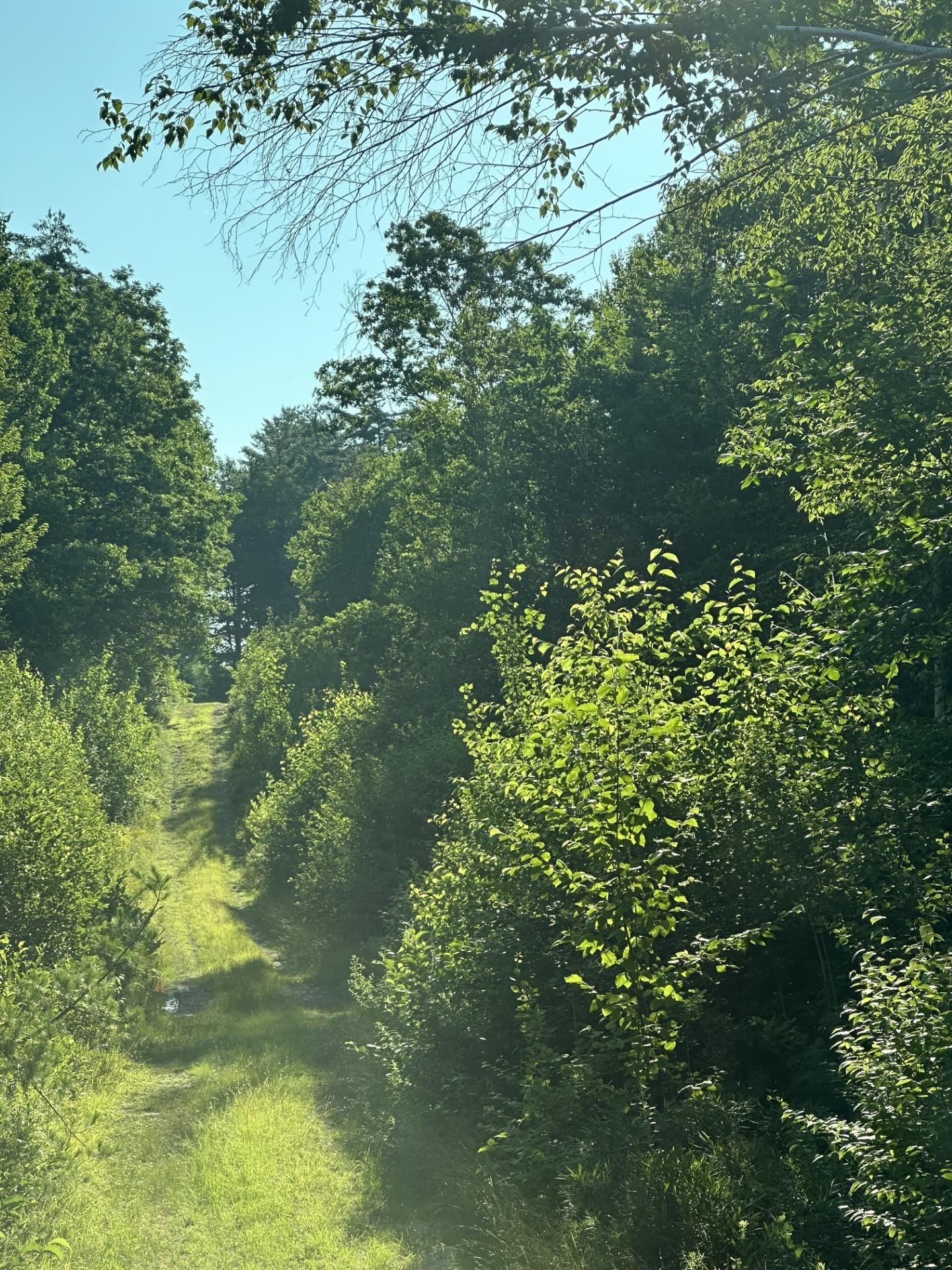 00 Bryant Heights Road