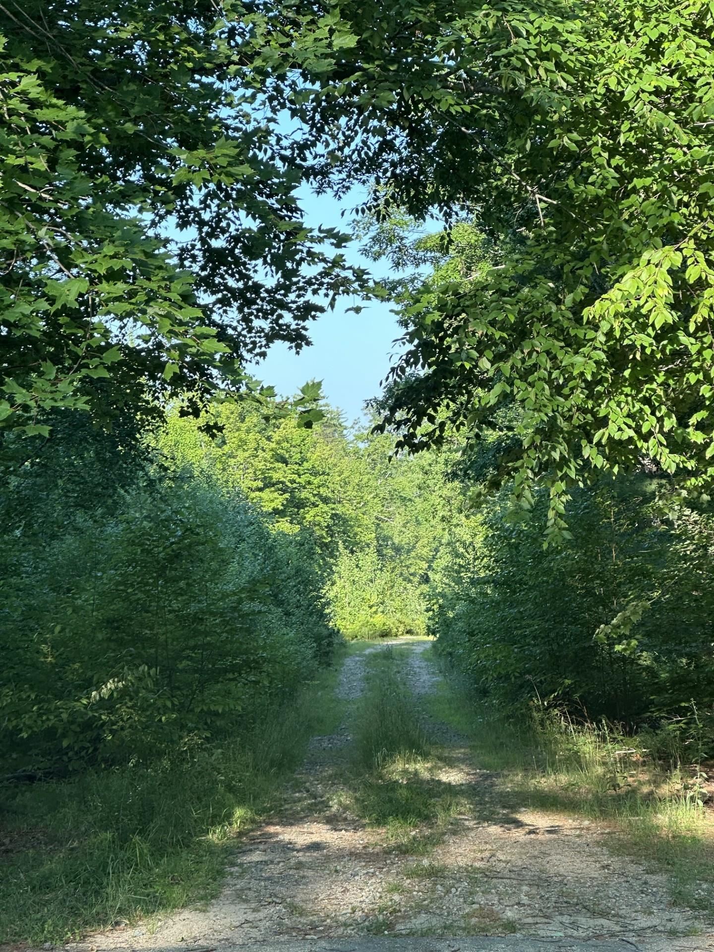 00 Bryant Heights Road