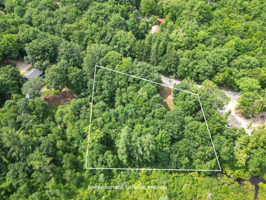 Photo of 40118 Washington Hill Road, Tamworth, NH 03817 (MLS # 5099083)