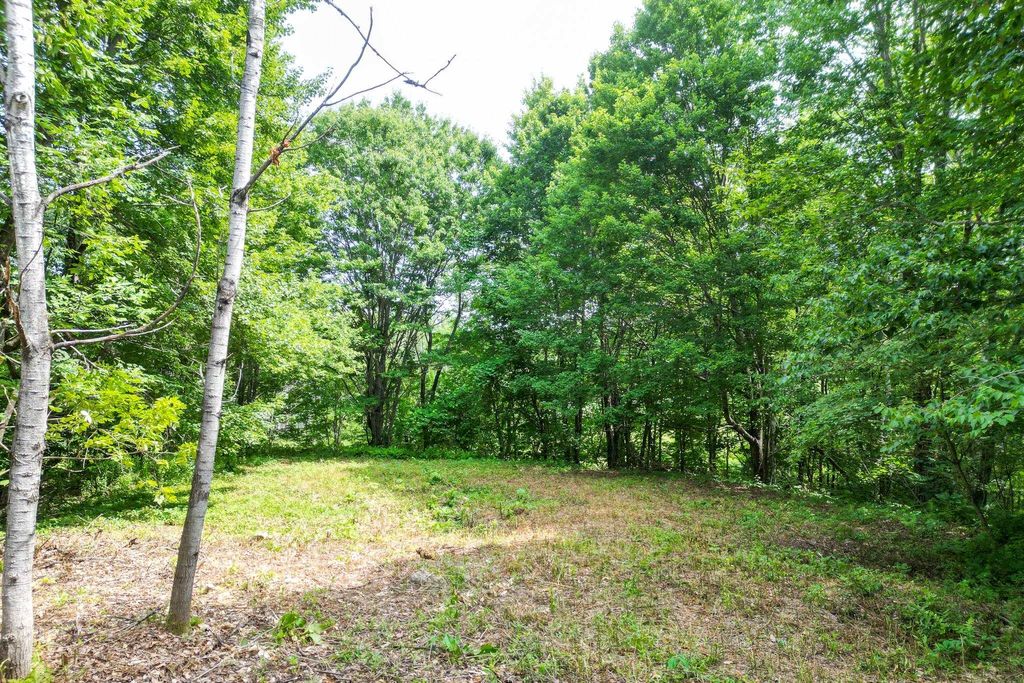 Photo of 40118 Washington Hill Road, Tamworth, NH 03817 (MLS # 5099083)