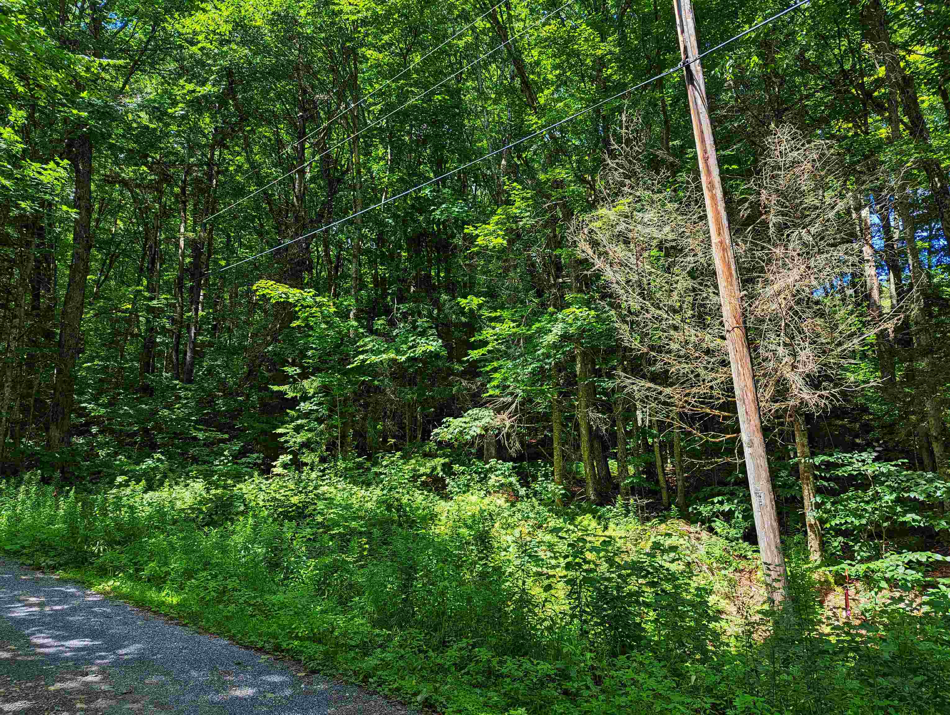 Alpendorf Avenue - Photo 3