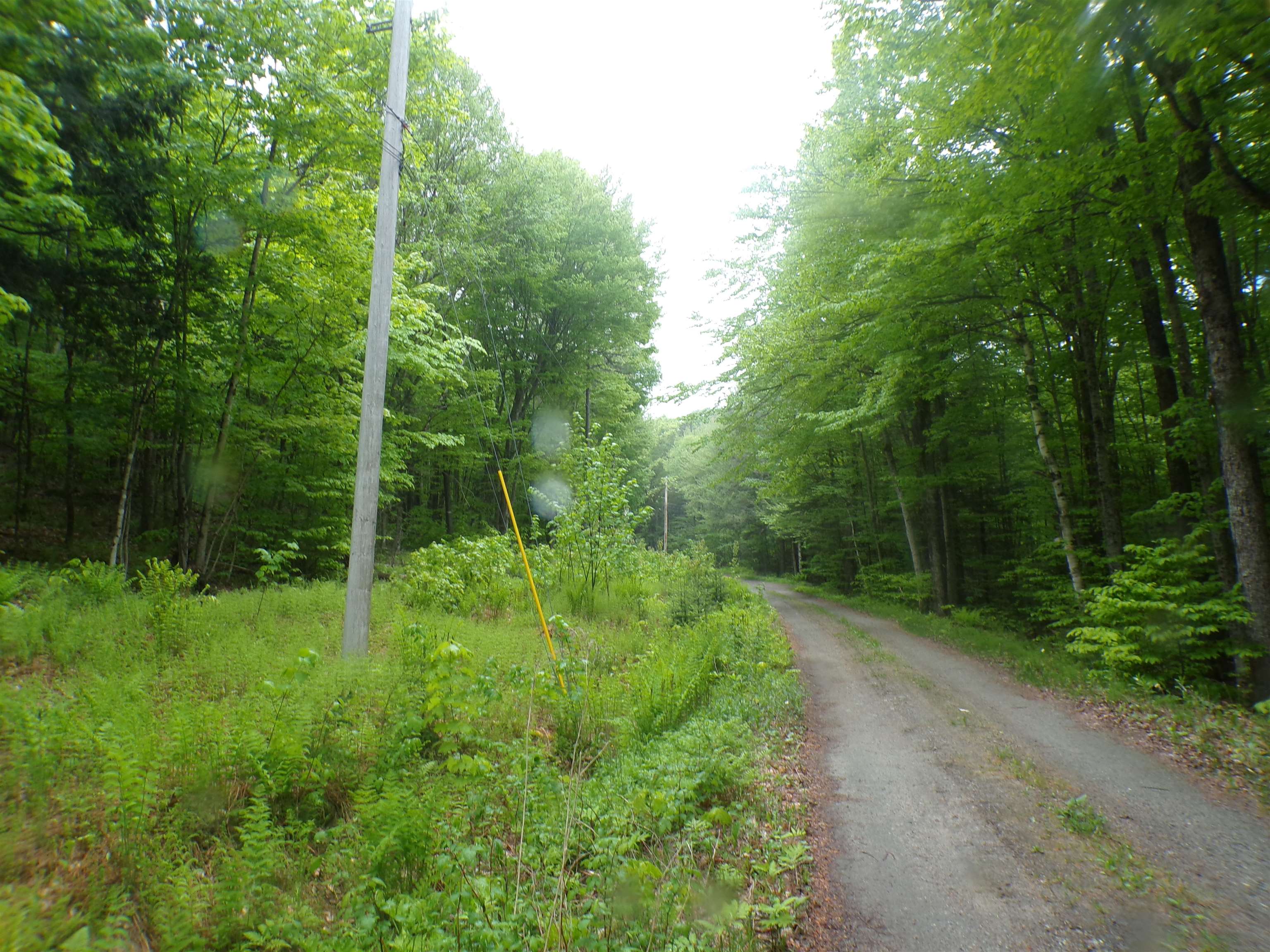 0 Foliage Lane 1