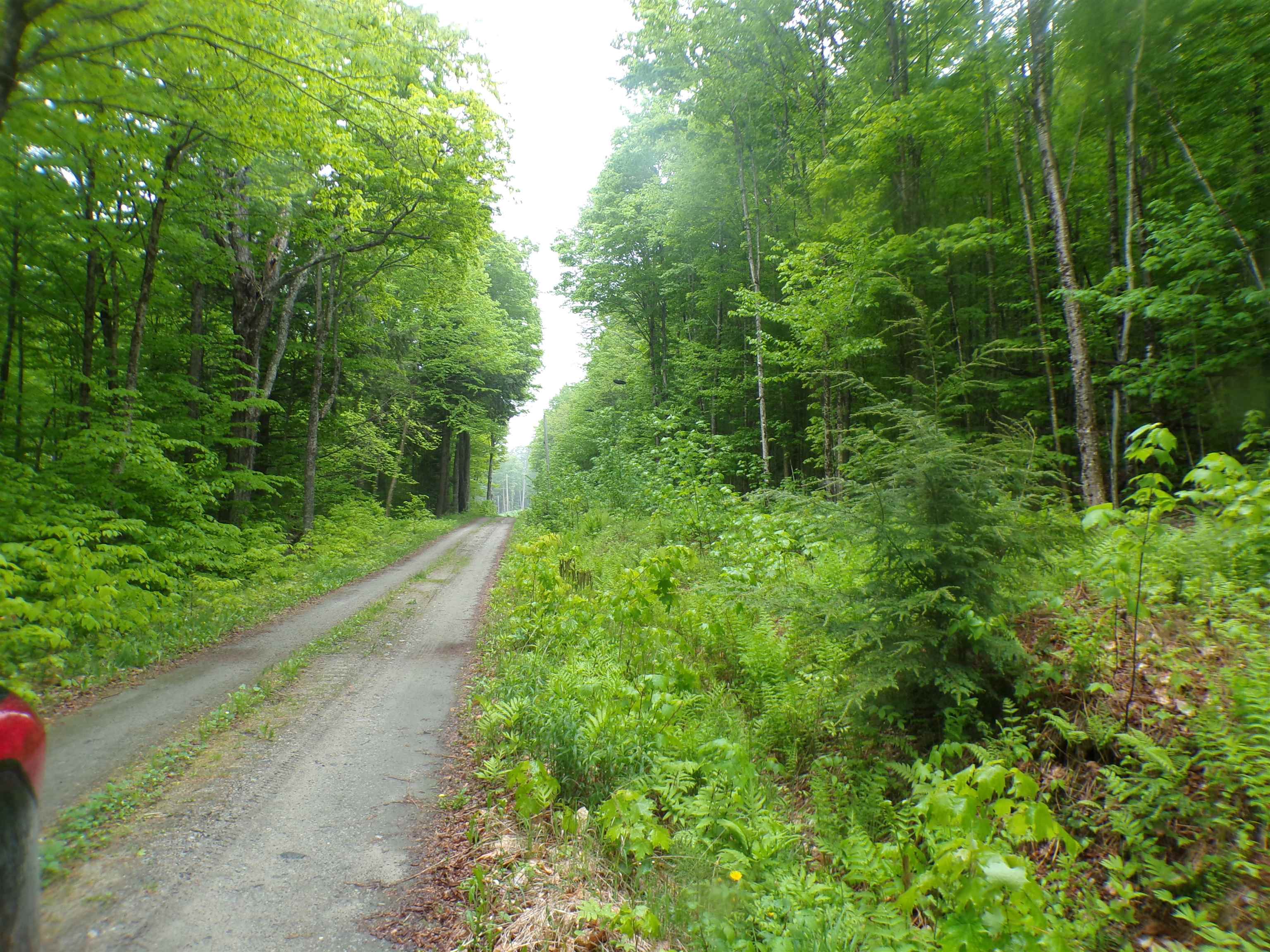 0 Foliage Lane 1