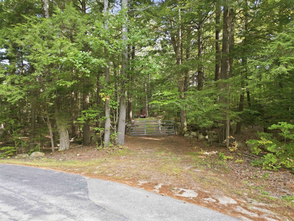 Photo of 0 New Hampshire Drive, Webster, NH 03303 (MLS # 5113001)