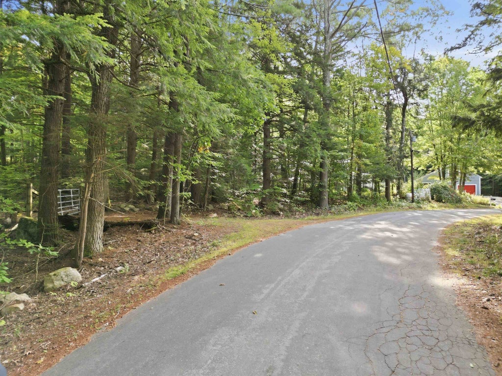 Photo of 0 New Hampshire Drive, Webster, NH 03303 (MLS # 5113001)
