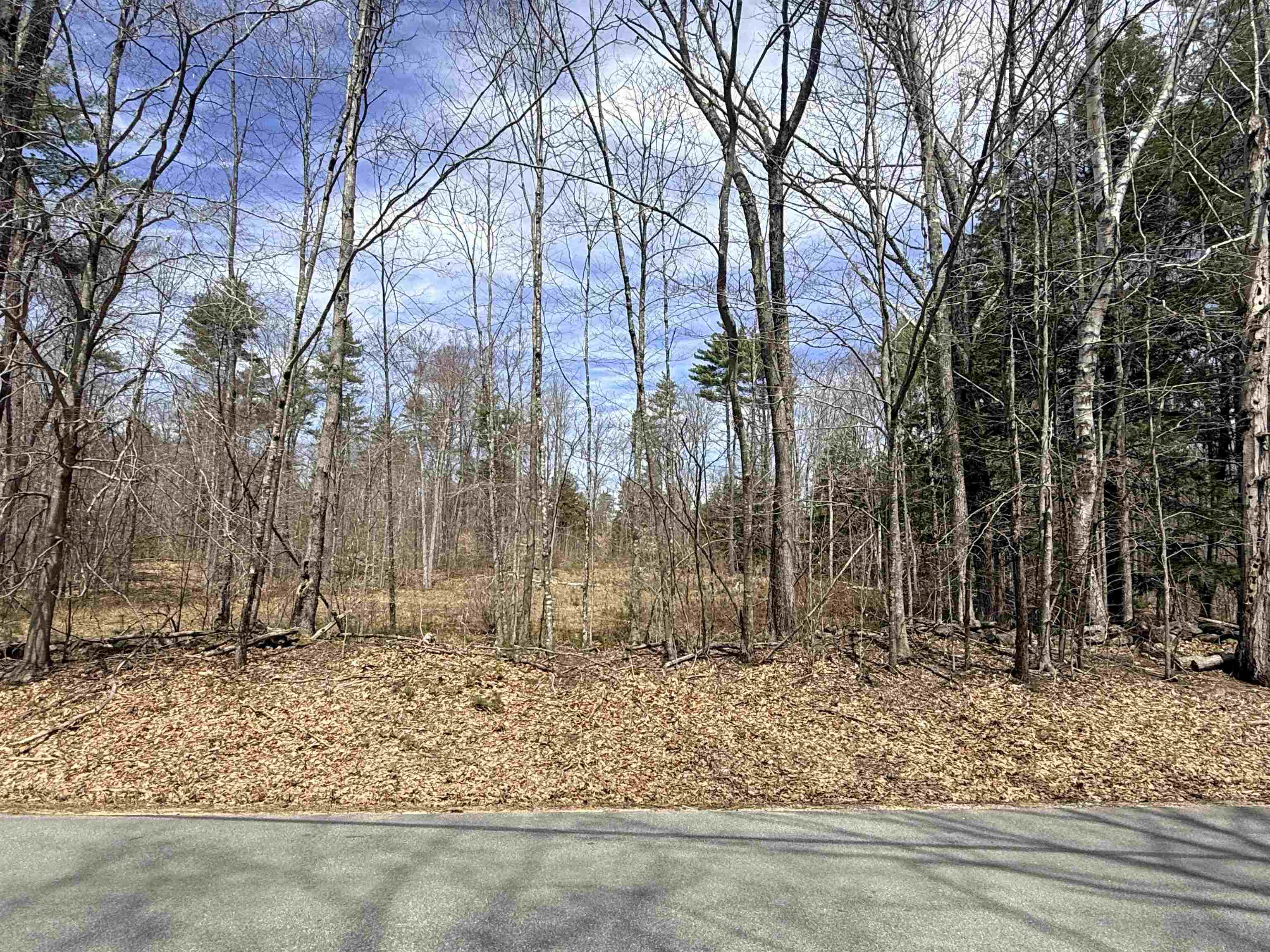 Map 208 Lot 8-2 Baptist Hill Road