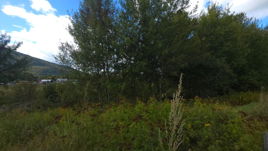 Photo of 192 Metallak Place, Colebrook, NH 03576 (MLS # 5109911)