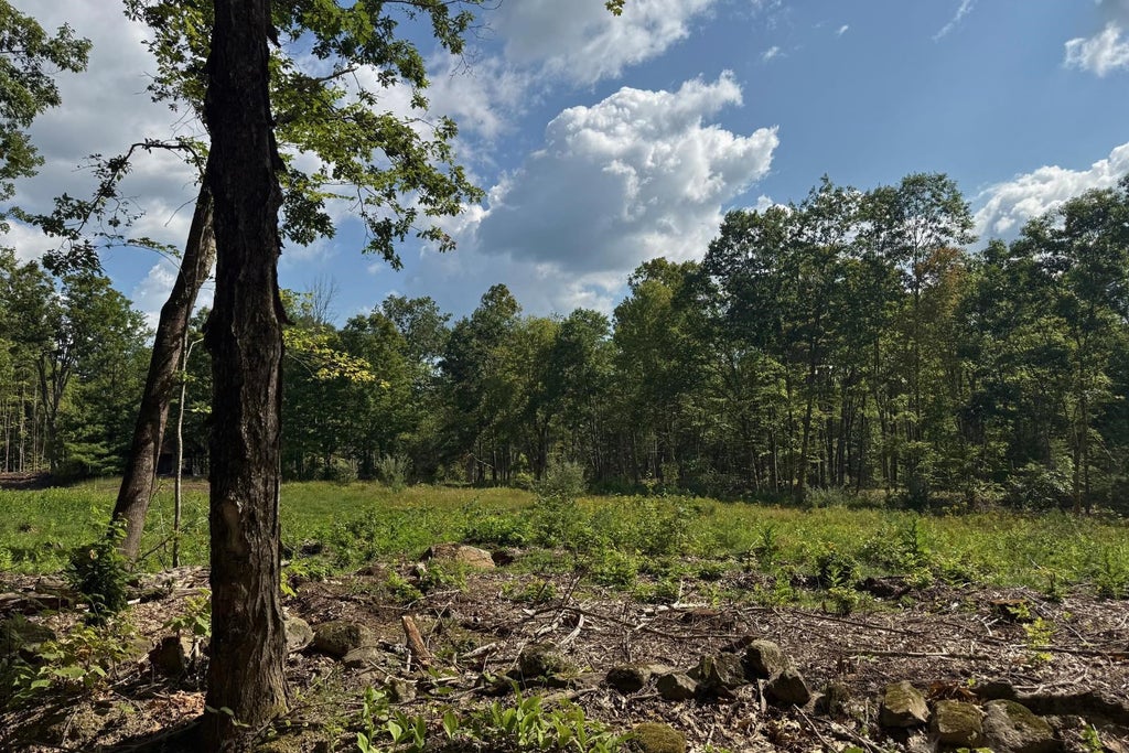 Photo of 93 Roxbury Road, Sanbornton, NH 03269 (MLS # 5105406)